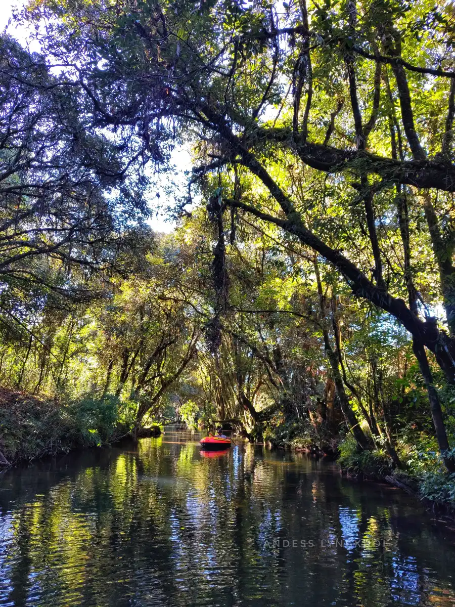 Boating in the Wild and Nature Silent Zones